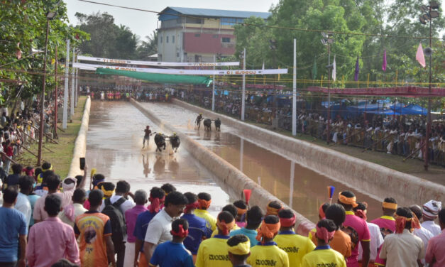 ಮೂಡಬಿದಿರೆ ಕೋಟಿ – ಚೆನ್ನಯ ಜೋಡುಕರೆ ಕಂಬಳ
