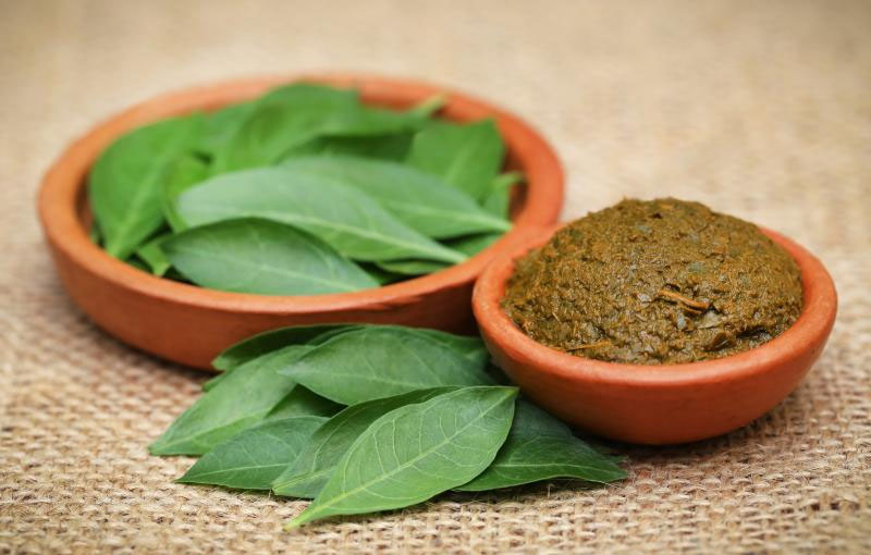 ಮದರಂಗಿ (ಮೆಹೆಂದಿ) ಹೆನ್ನಾ