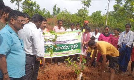 ಪಂಜಿಕಲ್ಲು ಗ್ರಾಮದ ಬುಡೋಲಿ ಪರಿಸರ ಕಾರ್ಯಕ್ರಮ