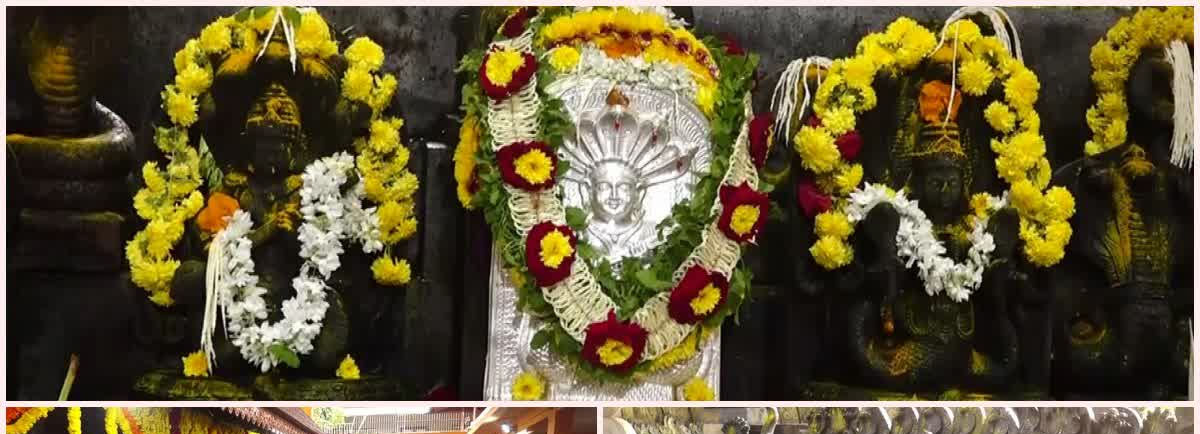 ಇಂದು ಶ್ರಾವಣ ಮಾಸದ ಶುಕ್ಲ ಪಕ್ಷದ ಪಂಚಮಿ ದಿನ – ನಾಗರ ಪಂಚಮಿ ಹಬ್ಬ