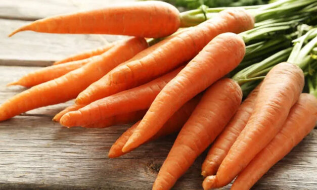 ಉತ್ತಮ ಆರೋಗ್ಯಕ್ಕಾಗಿ ಕ್ಯಾರೆಟ್‌