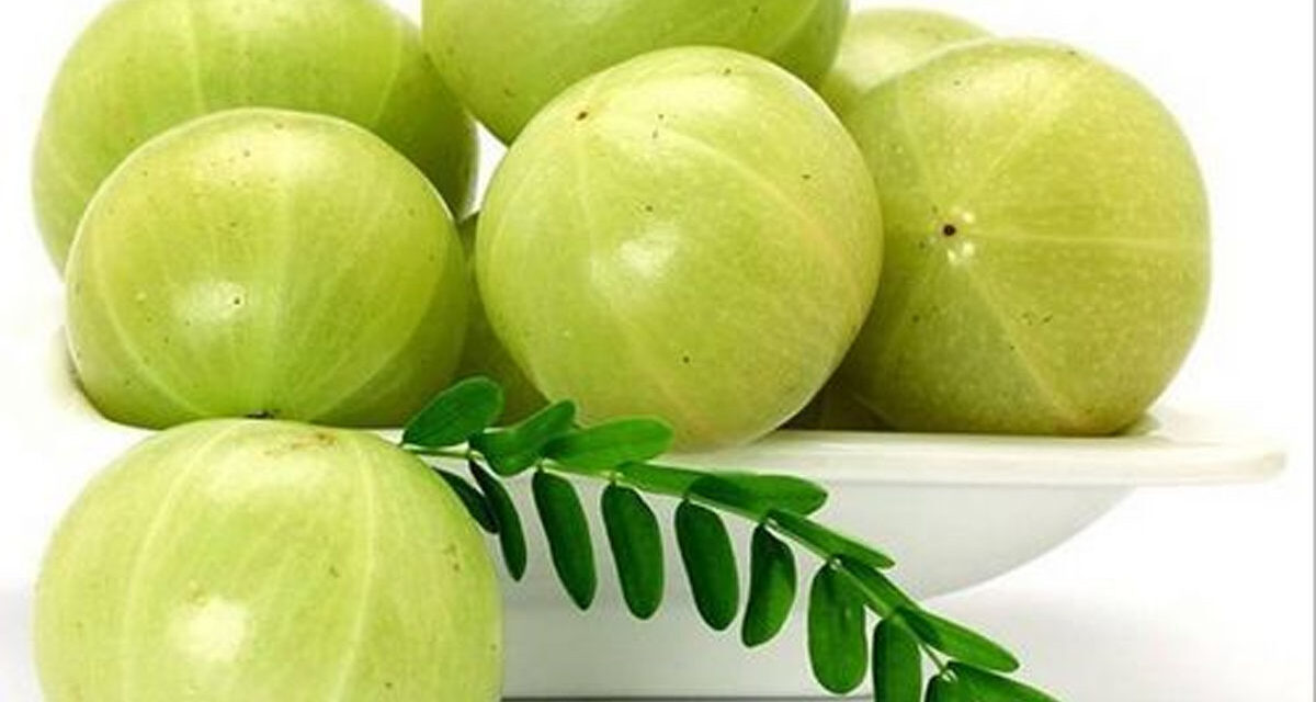ನೆಲ್ಲಿಕಾಯಿ (ಆಮ್ಲ) ಆರೋಗ್ಯ ಪ್ರಯೋಜನಗಳು