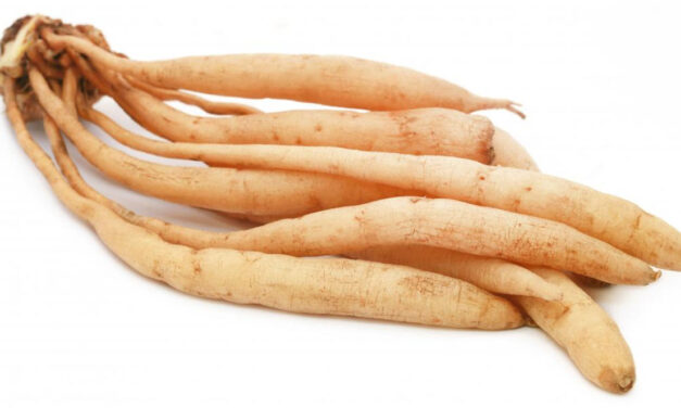 ಶತಾವರಿಯ ಆರೋಗ್ಯ ಪ್ರಯೋಜನಗಳು (ಗಿಡಮೂಲಿಕೆಗಳ ರಾಣಿ)