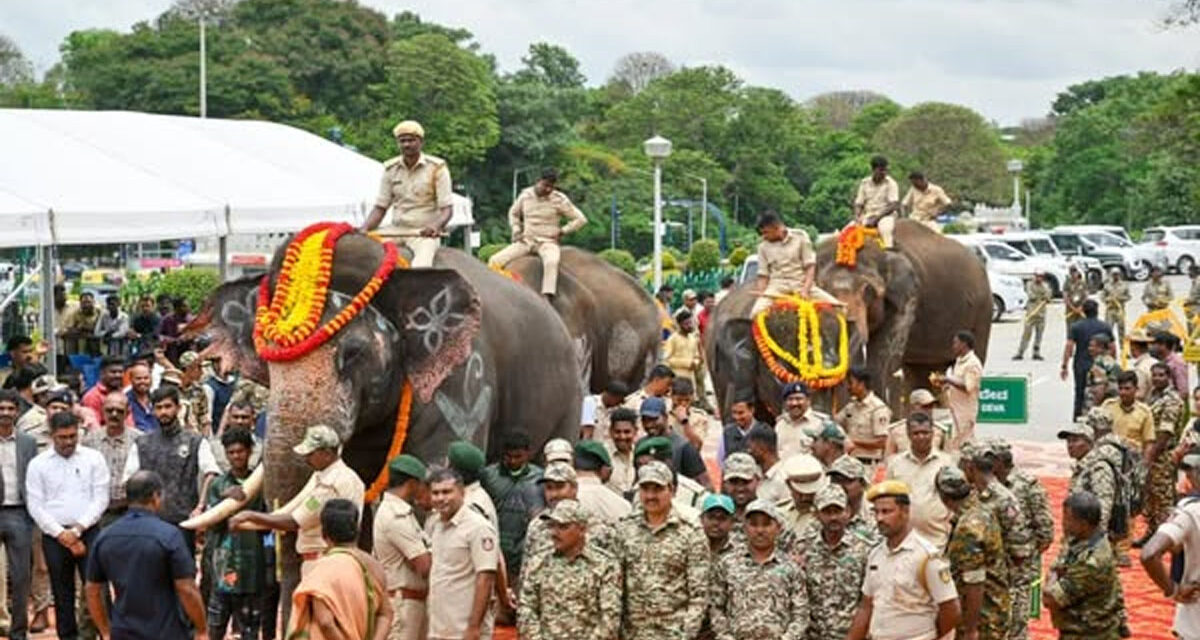 ಕುಮ್ಕಿ ಆನೆಗಳನ್ನು ಹಸ್ತಾಂತರ ಪ್ರಕ್ರಿಯೆಗೆ  ಸಿ.ಎಂ.ಸಿದ್ಧರಾಮಯ್ಯ ಚಾಲನೆ