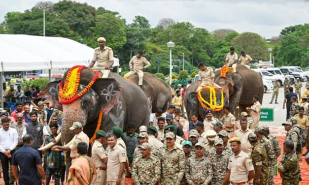 ಕುಮ್ಕಿ ಆನೆಗಳನ್ನು ಹಸ್ತಾಂತರ ಪ್ರಕ್ರಿಯೆಗೆ  ಸಿ.ಎಂ.ಸಿದ್ಧರಾಮಯ್ಯ ಚಾಲನೆ