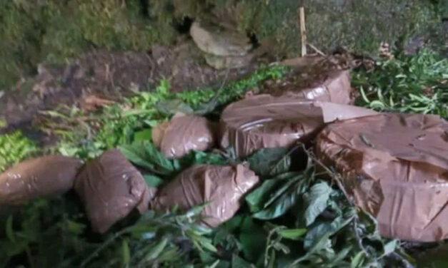 ದೊಡ್ಡ ದುರಂತ ತಪ್ಪಿಸಿದ ಭಾರತೀಯ ಸೇನೆ – 5 ಕಚ್ಚಾ ಬಾಂಬ್ ವಶಕ್ಕೆ