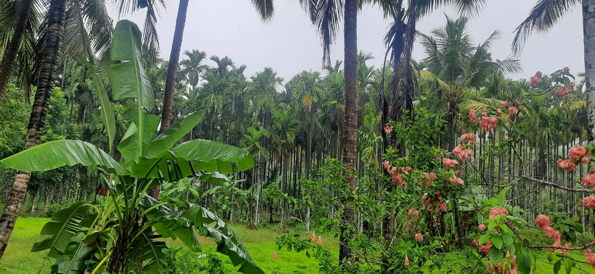 ರಾಜ್ಯದಲ್ಲಿ ಭಾರೀ ಮಳೆ- ದಕ್ಷಿಣ ಕನ್ನಡ ಜಿಲ್ಲೆಗೆ ರೆಡ್ ಅಲರ್ಟ್