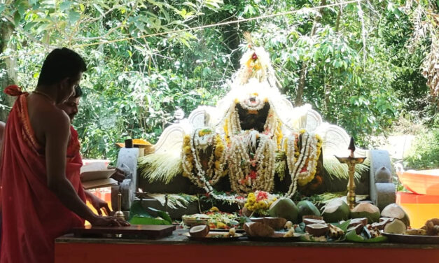 ವೀರಕಂಭ ಗ್ರಾಮದ ಮೈರ ನಾಗಬನದಲ್ಲಿ ಶ್ರೀ ನಾಗದೇವರ ಪುನರ್ ಪ್ರತಿಷ್ಠ ಕಲಶಾಭಿಷೇಕ