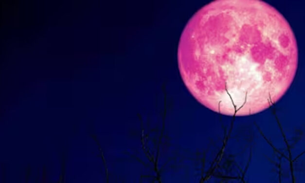 ಜೂ. 11 ರಂದು ಆಕಾಶದಲ್ಲಿ ಗೋಚರಿಸಲಿದ್ದಾನೆ “ಸ್ಟ್ರಾಬೆರಿ ಚಂದ್ರ”