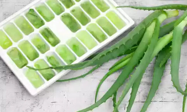 ಸೌಂದರ್ಯದ ವೃದ್ಧಿಗಾಗಿ ನ್ಯಾಚುರಲ್ ಐಸ್ ಕ್ಯೂಬ್ ಟಿಪ್ಸ್