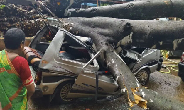 ಪ್ರವಾಸಿಗರ ಕಾರಿನ ಮೇಲೆ ಬಿದ್ದ ಬೃಹತ್ ಮರ – ತಪ್ಪಿದ ಅನಾಹುತ