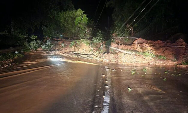 ಮಾರನಹಳ್ಳಿಯಲ್ಲಿ ಗುಡ್ಡ ಕುಸಿತ | ಶಿರಾಡಿಘಾಟ್ ರಸ್ತೆಯಲ್ಲಿ ವಾಹನ ಸಂಚಾರ ಬಂದ್