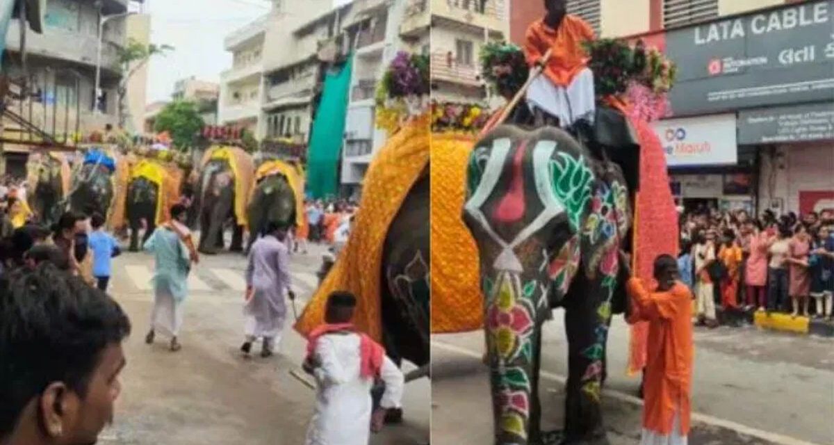 ಜಗನ್ನಾಥ ರಥಯಾತ್ರೆ ಮೆರವಣಿಗೆಯಲ್ಲಿ ದಿಕ್ಕಾಪಾಲಾಗಿ ಓಡಿದ ಆನೆಗಳು – ಬೆಚ್ಚಿಬಿದ್ದ ಭಕ್ತರು