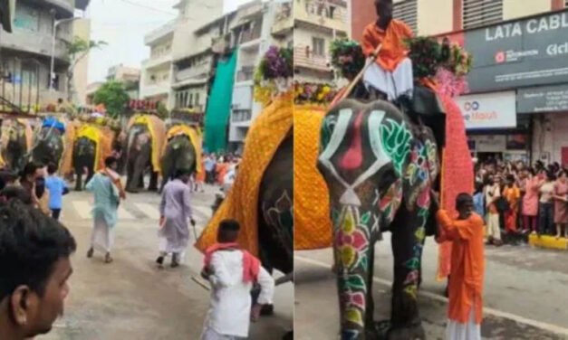ಜಗನ್ನಾಥ ರಥಯಾತ್ರೆ ಮೆರವಣಿಗೆಯಲ್ಲಿ ದಿಕ್ಕಾಪಾಲಾಗಿ ಓಡಿದ ಆನೆಗಳು – ಬೆಚ್ಚಿಬಿದ್ದ ಭಕ್ತರು