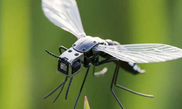 ಯುದ್ಧದಲ್ಲಿ ಯಾರಿಗೂ ಕಾಣದಂತೆ ದಾಳಿ ಮಾಡುತ್ತೆ ʻಸೊಳ್ಳೆ ಡ್ರೋನ್ʼ – ಏನಿದು ಹೊಸ ಅಸ್ತ್ರ?