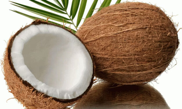 ಸಾರ್ವಕಾಲಿಕ ದಾಖಲೆಯತ್ತ ತೆಂಗಿನಕಾಯಿ ದರ – ಕೆಜಿಗೆ ಬರೋಬ್ಬರಿ 70-80 ರೂ.