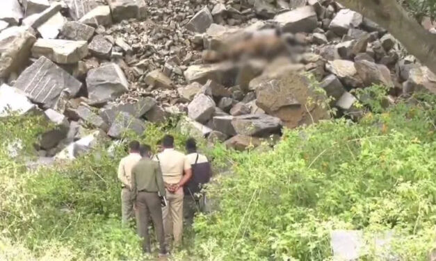 ಚಾಮರಾಜನಗರ | ಹುಲಿಗಳ ಸಾವಿನ ಬಳಿಕ ಚಿರತೆ ಶವ ಪತ್ತೆ – ವಿಷಪ್ರಾಶನ ಶಂಕೆ