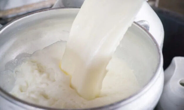 ಜು.23, 24 ರಂದು ಹಾಲು, ಸಿಗರೇಟ್ ಮಾರಾಟ ಬಂದ್