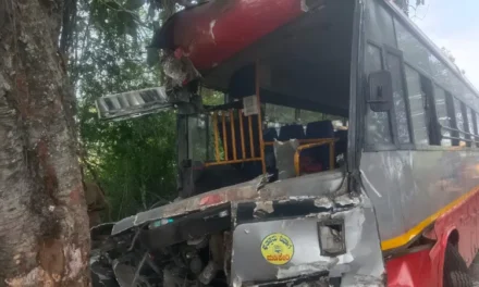 ಮರಕ್ಕೆ  ಡಿಕ್ಕಿ – 10ಕ್ಕೂ ಹೆಚ್ಚು ಮಂದಿಗೆ ಗಾಯ, ಐವರ ಸ್ಥಿತಿ ಗಂಭೀರ