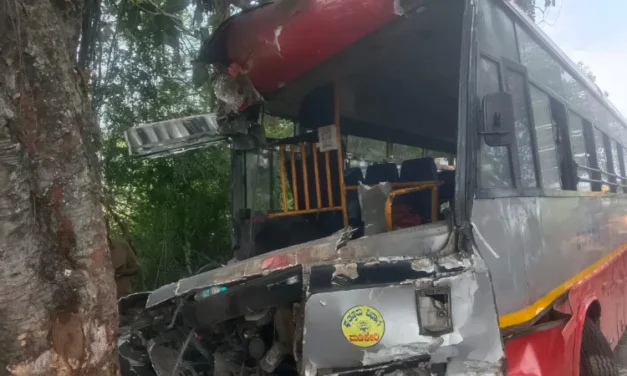 ಮರಕ್ಕೆ  ಡಿಕ್ಕಿ – 10ಕ್ಕೂ ಹೆಚ್ಚು ಮಂದಿಗೆ ಗಾಯ, ಐವರ ಸ್ಥಿತಿ ಗಂಭೀರ