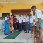 ವೀರಕಂಭ ಗ್ರಾಮ ಪಂಚಾಯತ್ ವ್ಯಾಪ್ತಿಯಲ್ಲಿ ಸಾಕು ನಾಯಿಗಳಿಗೆ ಉಚಿತ ರೇಬಿಸ್ ರೋಗ ನಿರೋಧಕ ಲಸಿಕಾ ಕಾರ್ಯಕ್ರಮ