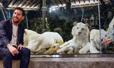 ಅನಂತ್ ಅಂಬಾನಿಯ ‘ವಂತಾರ’ಕ್ಕೆ ಫುಟ್ಬಾಲ್ ದಂತಕಥೆ ಮೆಸ್ಸಿ ಭೇಟಿ