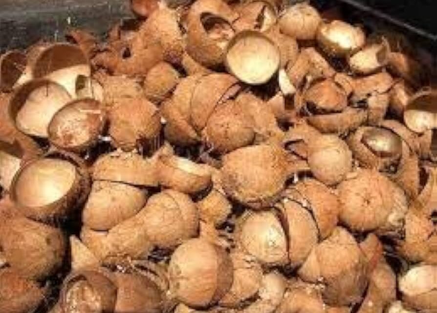 ಕರಾವಳಿಯಲ್ಲಿ ತೆಂಗಿನ ಚಿಪ್ಪು (ಗೆರೆಟೆ) ಹೆಚ್ಚಿದ ಭಾರೀ ಬೇಡಿಕೆ : ತೆಂಗಿನ ಚಿಪ್ಪುಗಳಿಗೆ ಈ ರೀತಿಯ ಬೇಡಿಕೆಗೆ ಕಾರಣವಾದರೂ ಏನು ? 