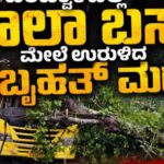 ಚಲಿಸುತ್ತಿದ್ದ ಶಾಲಾ ಬಸ್ ಮೇಲೆ ಬೃಹತ್ ಮರ ಉರುಳಿ ಬಿದ್ದು ದುರಂತ : ಯುಕೆಜಿ ಬಾಲಕಿ ಮೃತ್ಯು, ಇಬ್ಬರು ವಿದ್ಯಾರ್ಥಿನಿಯರಿಗೆ ಗಾಯ