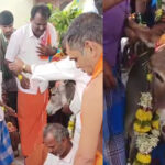 ಮಳೆಗಾಗಿ ಕತ್ತೆಗಳಿಗೆ ಅದ್ದೂರಿ ಮದುವೆ – ಸಾವಿರಾರು ಮಂದಿಗೆ ಭರ್ಜರಿ ಭೋಜನ!