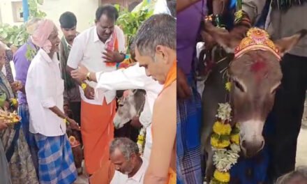 ಮಳೆಗಾಗಿ ಕತ್ತೆಗಳಿಗೆ ಅದ್ದೂರಿ ಮದುವೆ – ಸಾವಿರಾರು ಮಂದಿಗೆ ಭರ್ಜರಿ ಭೋಜನ!