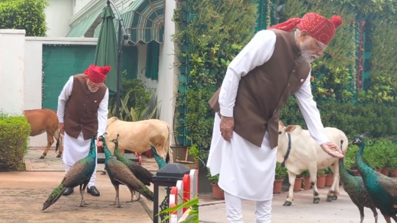 Special, as always..! ಇನ್ಸ್ಟಾದಲ್ಲಿ ತಮ್ಮ ಕ್ಯೂಟ್‌ ಸ್ನೇಹಿತರನ್ನು ಪರಿಚಯಿಸಿದ ಮೋದಿ