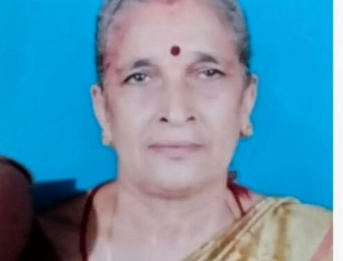 ಬಂಟ್ವಾಳ: ಹೆಚ್ಚೇನು ದಾಳಿಗೆ ಮಹಿಳೆ ಬಲಿ