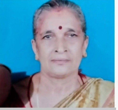 ಬಂಟ್ವಾಳ: ಹೆಚ್ಚೇನು ದಾಳಿಗೆ ಮಹಿಳೆ ಬಲಿ